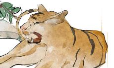 属虎今年财运如何2023(1986年属虎运程)