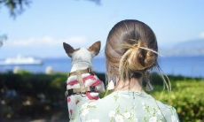 手掌厚实有肉的女人旺夫(旺夫女人手相图解)