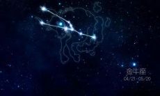 金牛座的所有特点(金牛座的特征和性格特征)