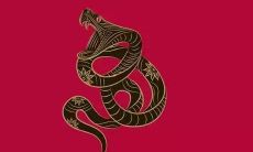 属蛇对冲生肖是什么(蛇与哪个生肖相冲)