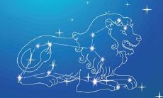 12星座48星区详解(48星区详解查询)