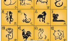 2023年什么属相运势最佳(陶白白本周白羊座运气)