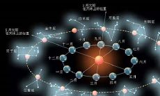 陶白白占卜师(女巫占卜师准吗)