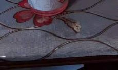 别墅院子大门风水图解(别墅院子风水十大禁忌)