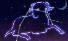 哪个星座最疼水瓶座的男友(什么星座最疼爱水瓶座女生)