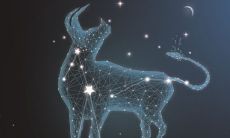 6月份金牛座运势怎么样(水瓶座今日运势)