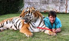 父母孩子都属虎好不好(属虎的大人物一般出生在几月)