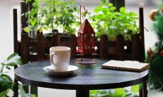 寓意好运招财的植物(家里养什么花人旺财旺)