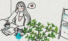 单身男如何走桃花运(哪些女人容易走桃花运)