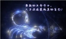 十二星座天蝎座什么第一(十二星座天蝎座排第几名)