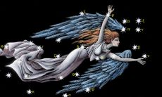 男士处女座的性格(处座男喜欢什么星座的女生)