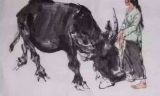 1985年出生的命运(1985年属牛一生运势及运程)