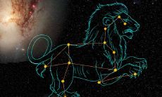 25岁狮子座(狮子座的年龄是多少)