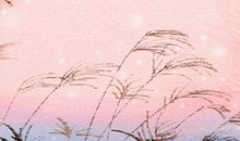 霜降养生食谱 养阴清热的花生莲藕鸭汤