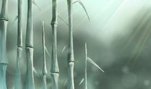 属龙最看重姐妹情谊