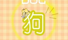 2021年属狗结婚运最佳的时候是几月