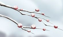 属蛇父母会怎么教育孩子