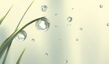 属龙过年相亲是一种什么样的体验