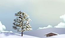 2021年大雪的民间风俗是什么 有具体的什么活动