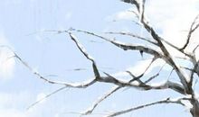 北方将迎来数九寒天 什么时候开始数九寒天