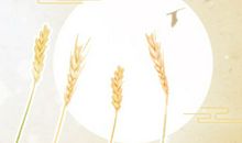 巨蟹女要如何把自己嫁出去