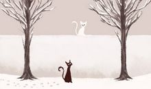 24节气最冷的是大寒还是小寒 具体的原因是什么