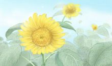 2020花朝节是农历哪一天 要干啥