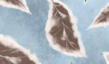 霜降出生的男孩 有怎么样的运势