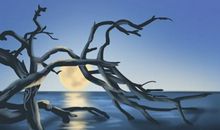 6种水命哪个最好 五行运势