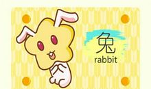 属兔的2021年财运各方面怎么样