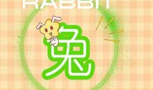 87属兔一生婚姻分析 牛年夫妻相处如何