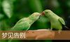 梦见告别