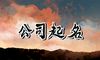 带海字的公司名字有哪些 怎么取名吉利