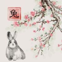 4个诞生，女性，可以嫁给它的钱亚迪埃斯兔子