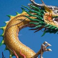 2022寅属事业务事事