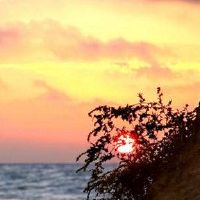 射手座的个人命运是什么？