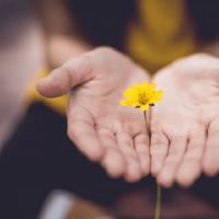 五种女商人的手，当他们看着它