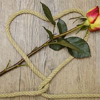 2021年下半年朋友的朋友如何？