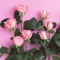 Tanabata情人节送男朋友，什么礼物是好的，适合