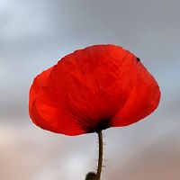 什么不能在十个da？十天的几天？