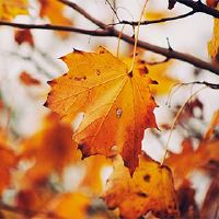 你能在十大达海吃三个净肉吗？你不杀人吗？