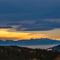 如果我不考虑Towa Day，我该怎么办？什么是禁忌？