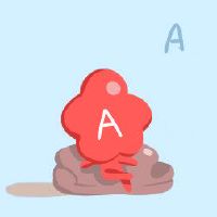 双重11永远不会采取血型