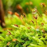 是2022年农历新年前夜的生活吗？这是这一天适合新车吗？