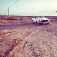 什么是第12个星座和前述，是老人的？