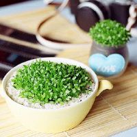 会得到更好的星座