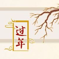 春节的付款和预防措施是多少？