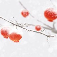 2022小夜北定制防尘窗花祭祀炉王