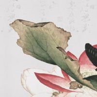 虎年宝宝避开几月出生好 霉运连连需注意