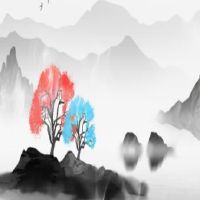 为什么山毛榉说，说不温和是很好的？